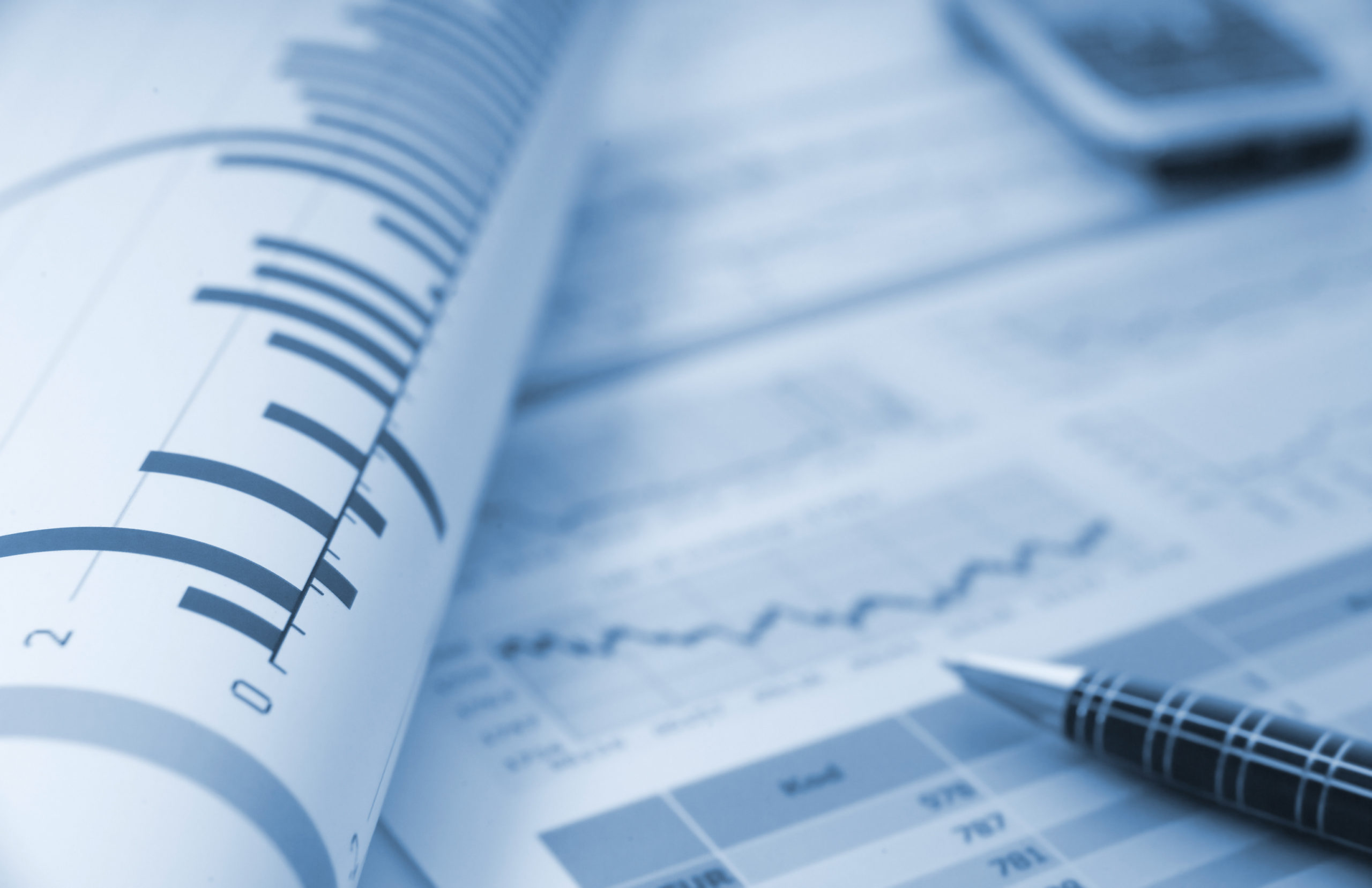 MSM Investment Outlook