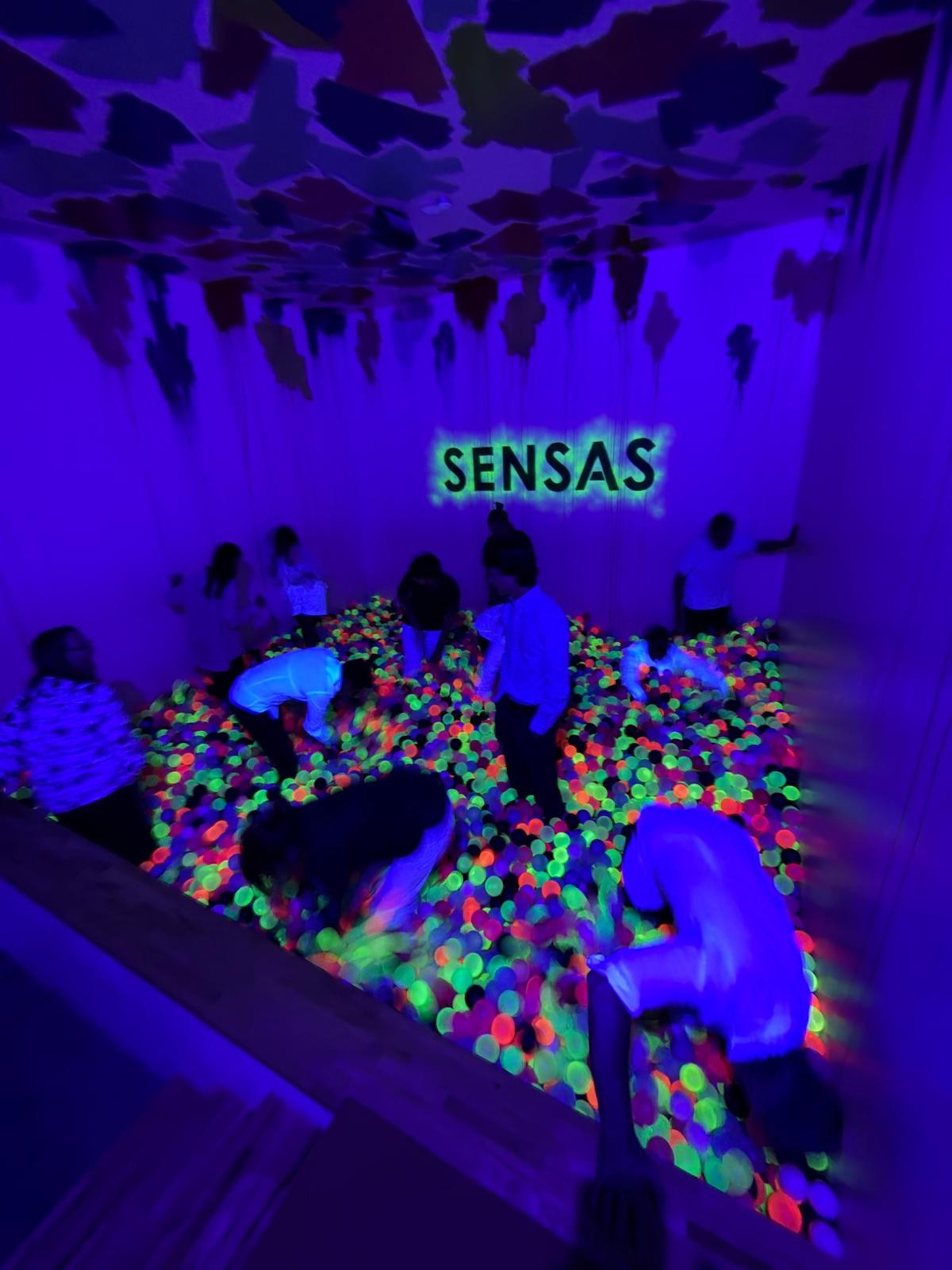 MSM Geneva Team Takes on the SENSAS Challenge